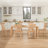 Chesley 18.1" W Modern Solid Wood Dining Chair-915741175