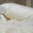Luxury New Zealand Wool Bed Pillow – 100% Natural Wool Fill, Breathable Washable Cotton Cover, Soft Support Sleeping Pillow 20X26