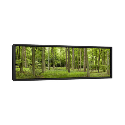 Panoramic 'Spring in Thetford Forest, Norfolk, England' Photographic Print on Canvas -  Ebern Designs, 15B9DB98E93A448DB99120BA0248B304