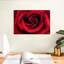 Gouttelettes sur une rose rouge-858553175