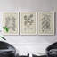 Antique Black and White Botanical VII - Ensemble de 3 reproductions d'art sur toile-282180051-282180062