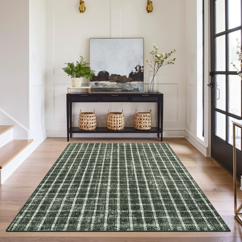 Modern Area Rug Checkered Rug Washable,Non-Slip Carpet for Living Room,Bedroom,Kitchen,Hallway mark Resistant Indoor Floor Mat