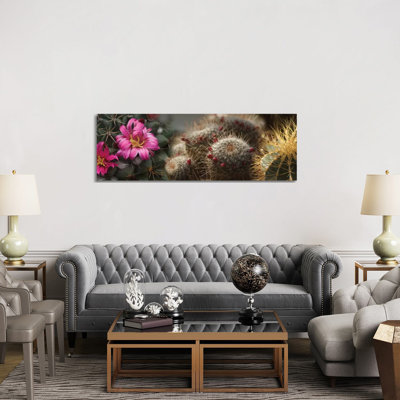 Close-Up Of Assorted Cactus Plants I - Wrapped Canvas Panoramic Print
