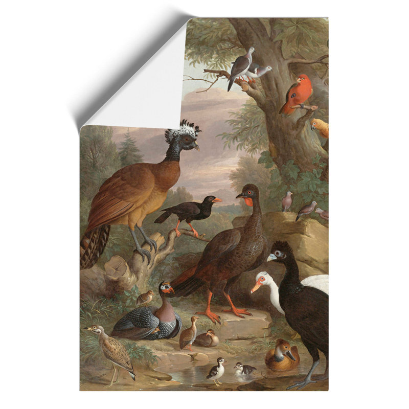 Collection of Birds Vol.1 by Melchior D'Hondecoeter - Unframed Graphic Art, 42cm H x 30cm W x 0.1cm D