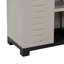 Storage Cabinet with 2 Adjustable Shelves and Centre Drawer-2090530078