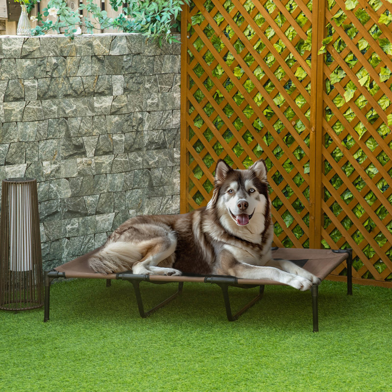 Elevated Dog Bed Cooling Raised Pet Cot for Indoor Outdoor Use XX Large