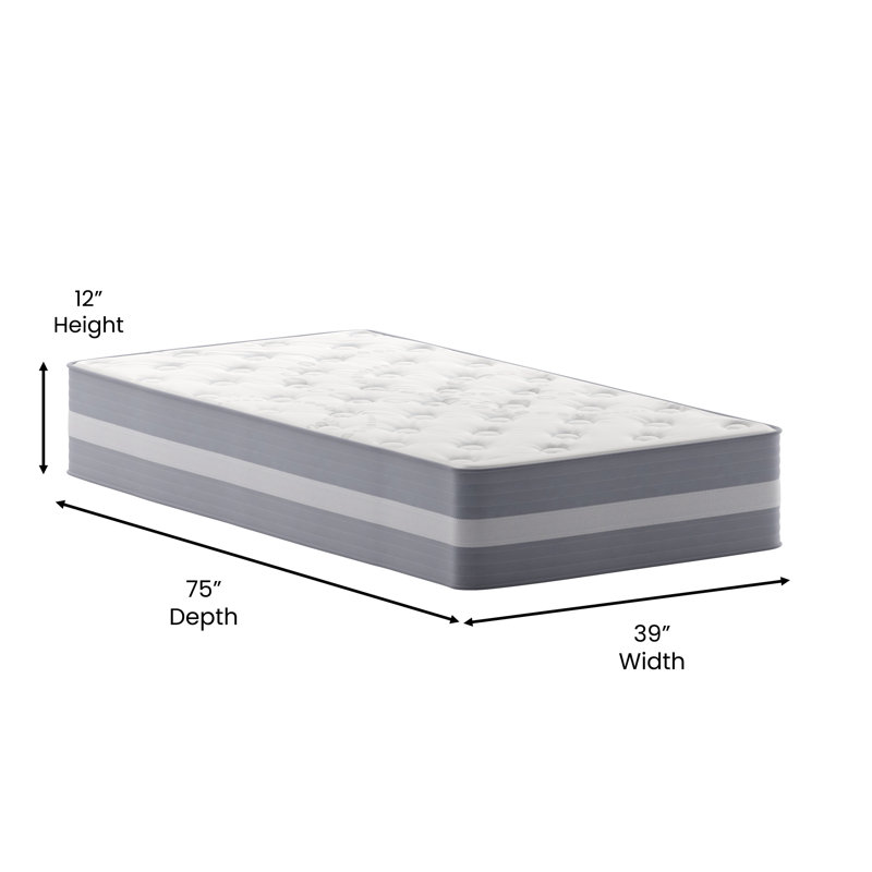Wayfair Sleep 12 Inch Pocket Spring and Foam Hybrid Mattress, Twin, Light Gray