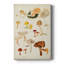 Mushroom Species douzième - galerie Cavas sur mesure-1096680439
