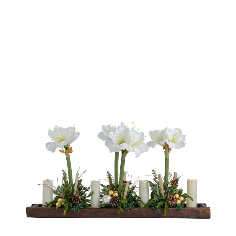 WHITE AMARYLLIS IN WOOD TRAY, White