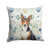 Tricolor/White Basenji