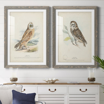 " Hawk Owl " 2 - Pieces