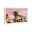 « joshua tree rose », impression-882844620-929072090