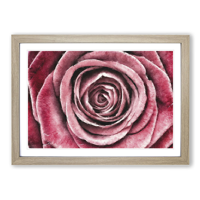 Pink Rose Flower Vol.2 - Framed Print, 27cm H x 36cm W x 2cm D, Oak Framed