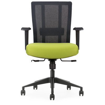 Scarlette Ergonomic Mesh Task Chair with Seat Slide, Adj Lumbar Support, Reclines with Lock