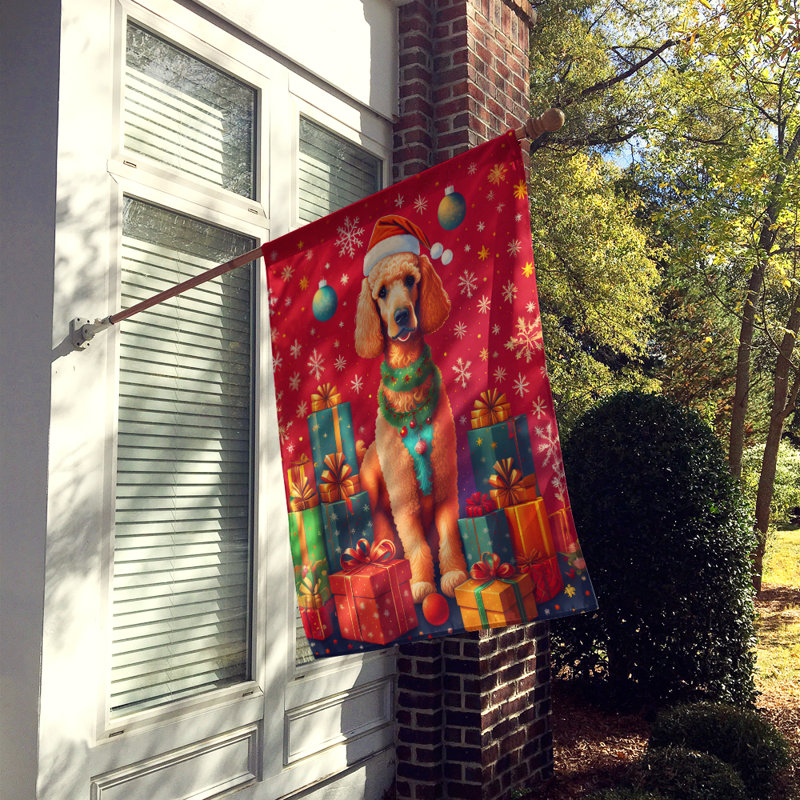 Double Sided 40'' H x 28'' W Polyester Christmas House Flag
