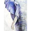 Blue Elephant Print On Canvas-98694196