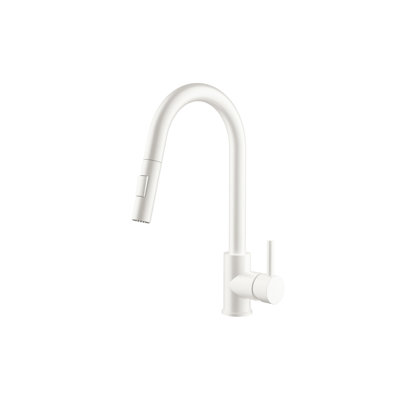 Stainless Steel Pull Down Single Handle Kitchen Faucet