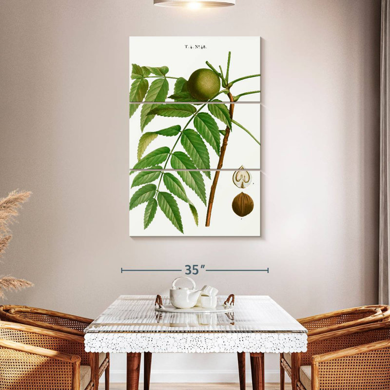 Keiri Black Walnut Juglans Nigra, 50" H x 32" W