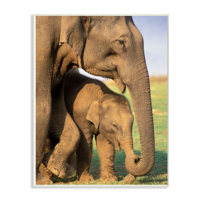 «Elephant Family Mother with Child», photographie