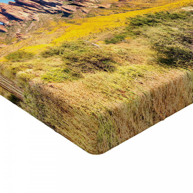 Drap-housse saguaro, Simple TG