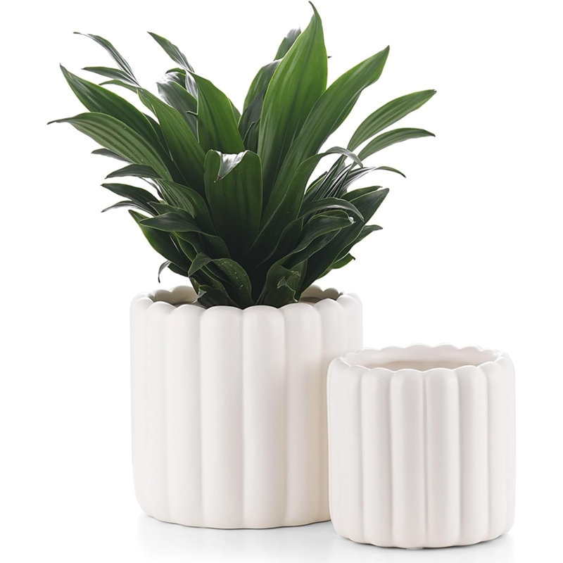 Ceramic Plant Pots Cream White 6"+4.7" Set