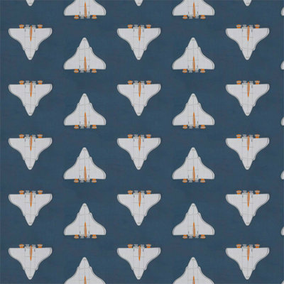Space Shuttle Fabric
