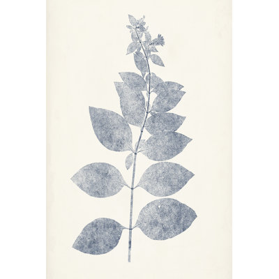 Navy Botanicals IX by Vision Studio - Painting
