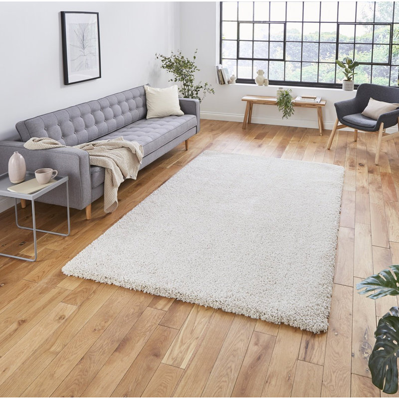 Kelseyville area rug Machine Woven Rectangle Cream, Rectangle 80 x 150cm