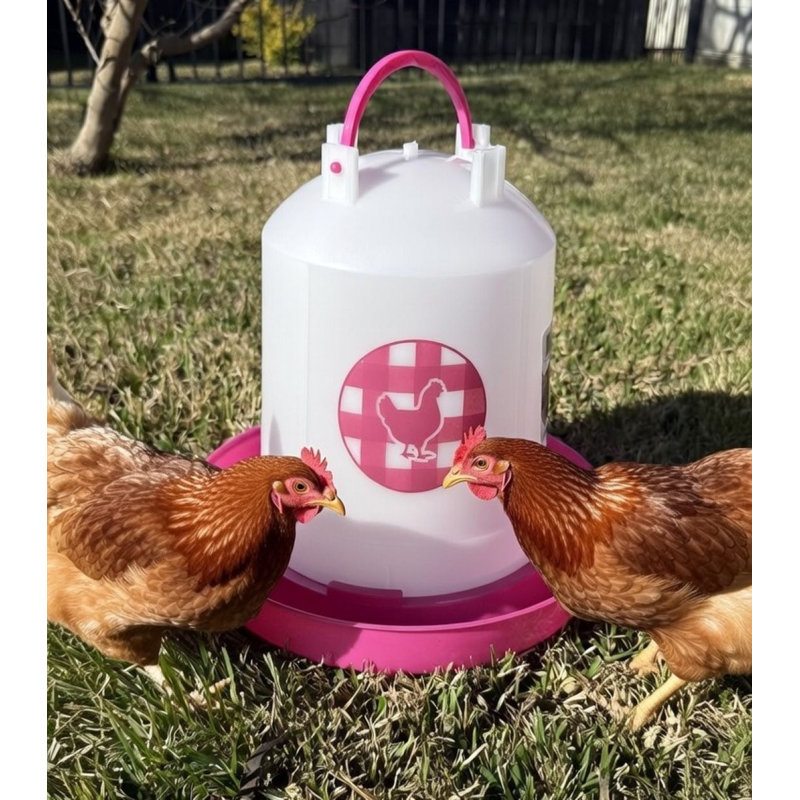 Abreuvoir à poulet 1,5 gallon - Fuchsia, 1,5 gallons, Rose