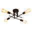Black 4-Light Branch Ceiling Light