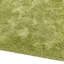 Beatty Shiny Shaggy Green Rug-14197426