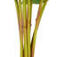 Tige de fleur artificielle Cole et Grey-855985875-855985900
