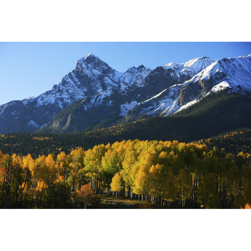 Angelike Dallas Divide, Uncompahgre National Forest, Colorado par Donyanodam, L 12 po x H 8 po
