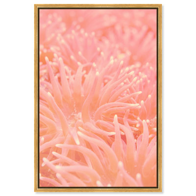 Deep Sea Flowers Print by Oliver Gal
