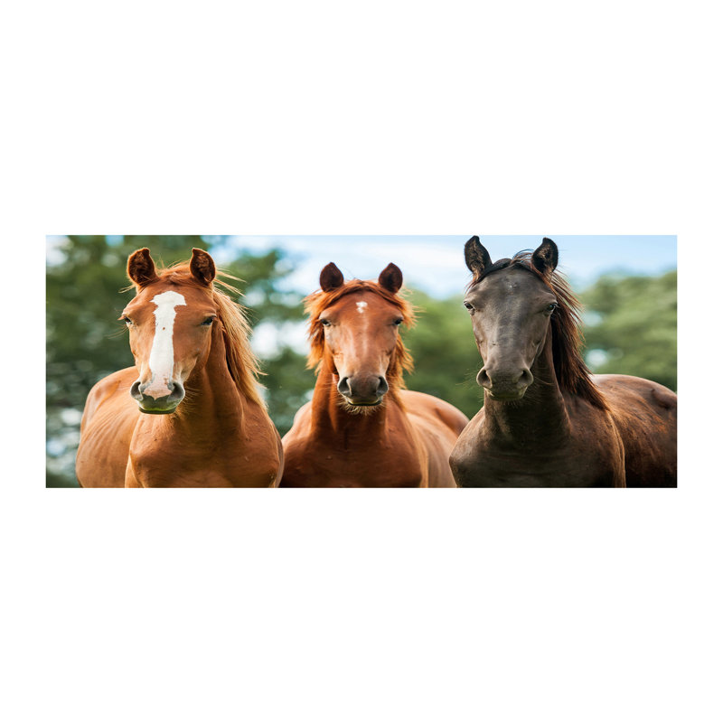 Three Horses - No Frame Print on Canvas