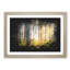 Rays Of Light Through An Autumn Forest Paint Splash - Picture Frame Graphic Art-56866901-56866904