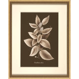 Sepia Leaves On Chocolate II Painting
