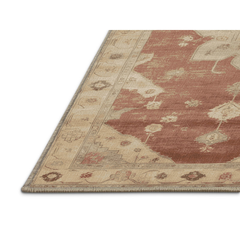 Machine Washable Overdyed Brown Area Rug, Rectangle 7' x 9'