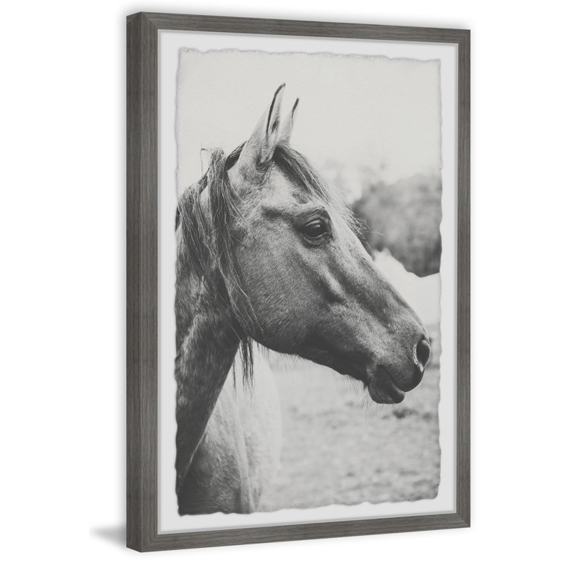 Ann Barnes - Single Picture Frame Print, 30cm H x 20cm W x 3.81cm D