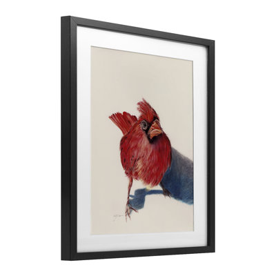 Oiseau cardinal debout encadré sous verre, conception par Cady