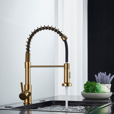 Belfry Kitchen Henleaze Pull Down Kitchen Faucet