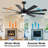 Kiriana 62'' Ceiling Fan with LED Lights