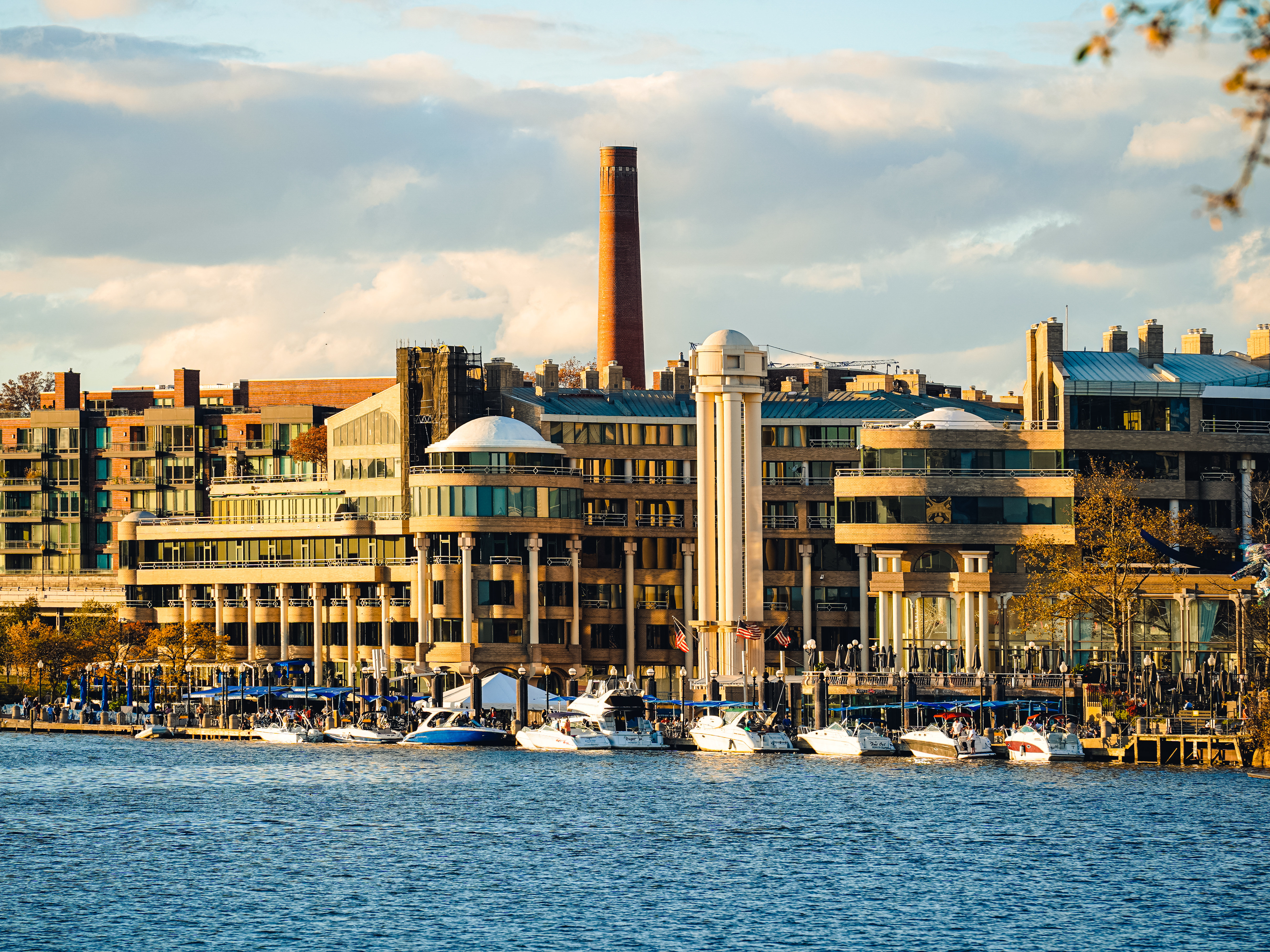 Waterloo Georgetown Made & Curated Georgetown Waterfront by Leo Ang | Wayfair