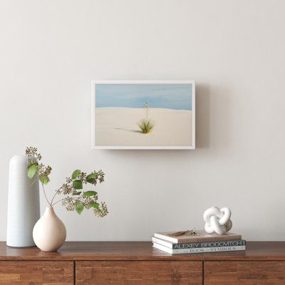 " Desert Life " by Marmont Hill