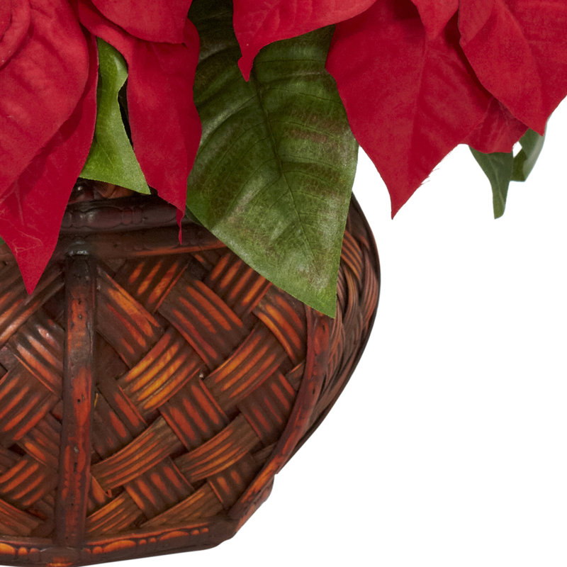 Poinsettia avec agencement floral décoratif dans un pot de fleurs