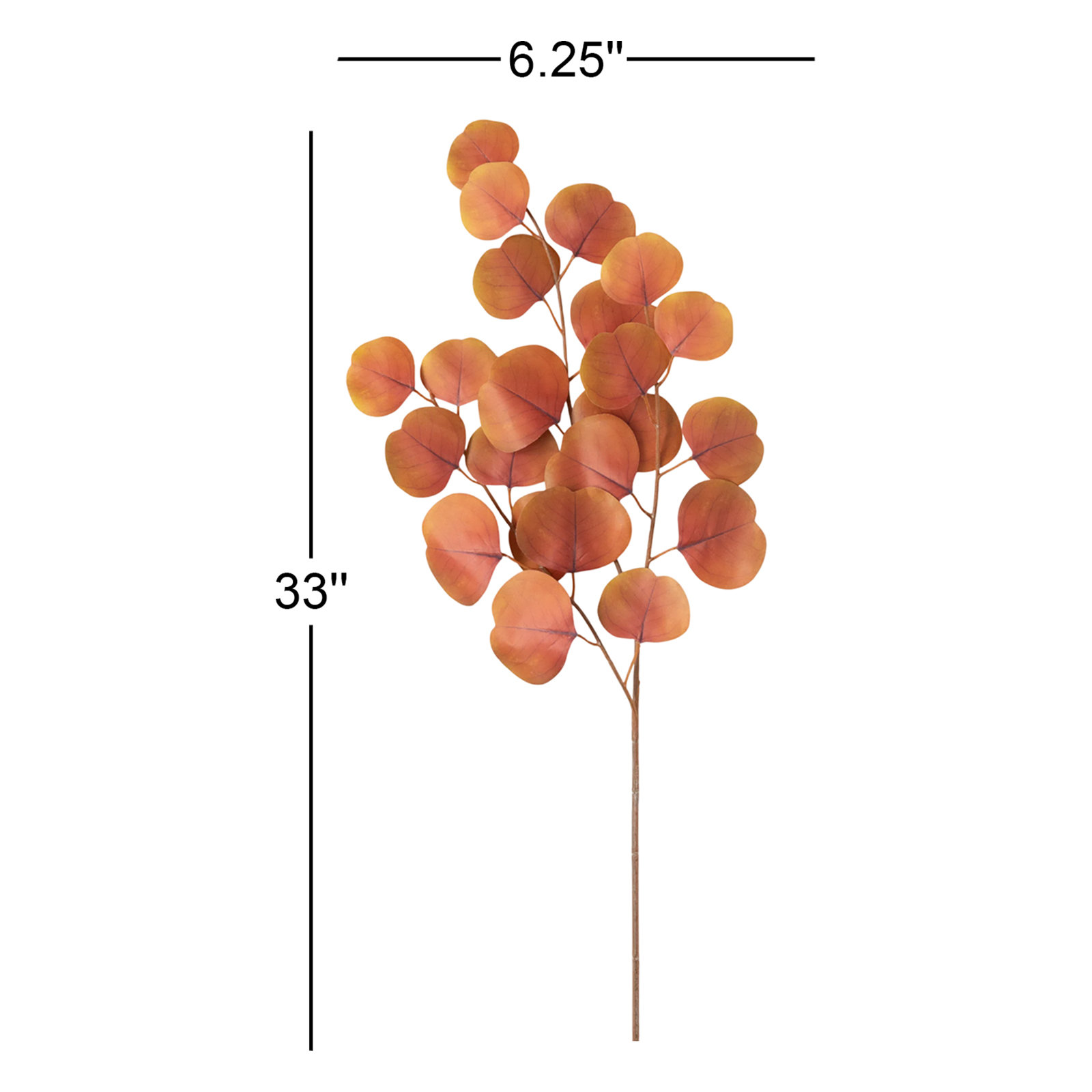 Sienna Eucalyptus Stems