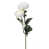 Creamy White is out of stock