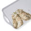 Wrendale Designs, Coloured - Owl Tray