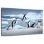 Pingouins sautant sur la glace-73318978
