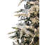 Lighted Artificial Fir Christmas Tree-362436137